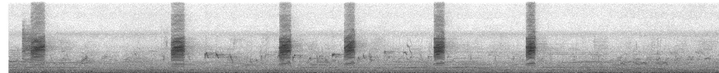 ťuhýk královský - ML646744956