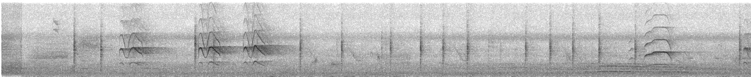 krahujec šikra - ML646744987