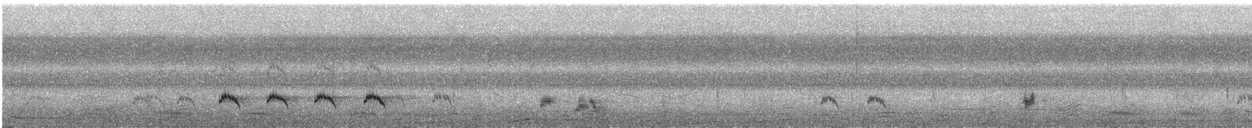 Blue-cheeked Bee-eater - ML646745059