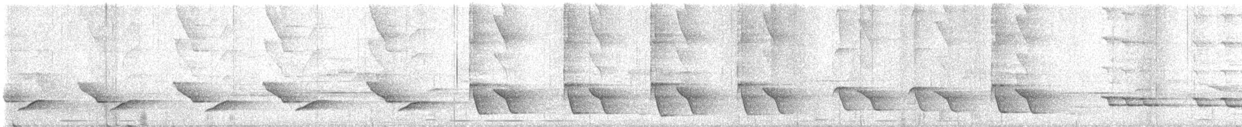 Al Boğazlı Islıkçı - ML646745245