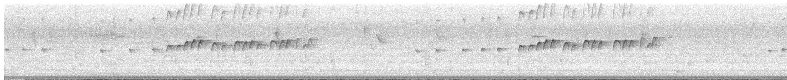 Tropical Kingbird - ML646745814