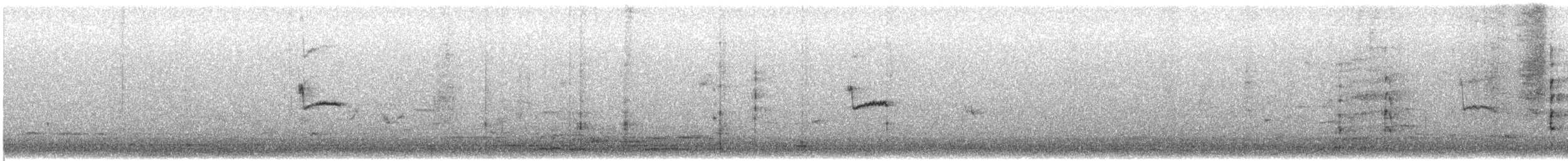 White-tailed Tropicbird (Pacific) - ML646745847