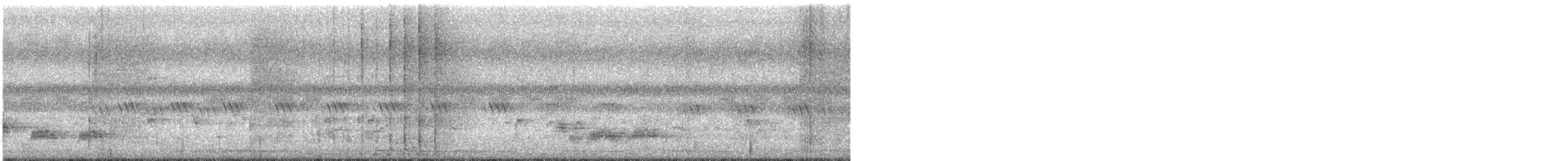 holub fialovoramenný - ML646745882