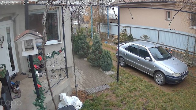 オオタカ - ML646746046