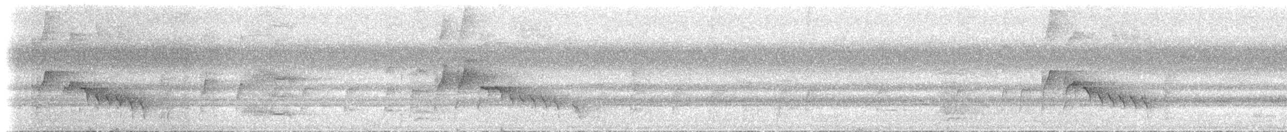 Bridled Honeyeater - ML646746867