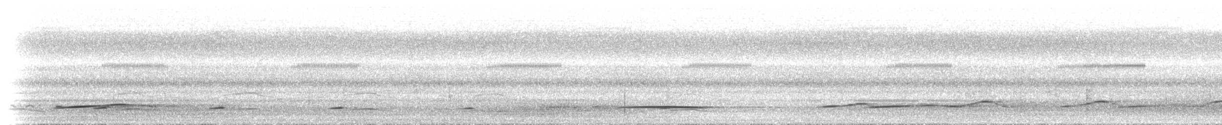 Bush Thick-knee - ML646746943