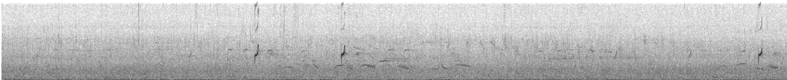 Double-banded Plover - ML646747723