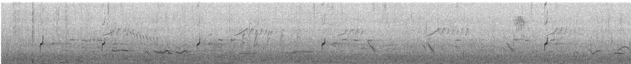 Double-banded Plover - ML646747729