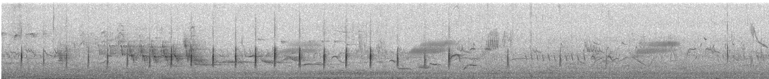 Double-banded Plover - ML646747748