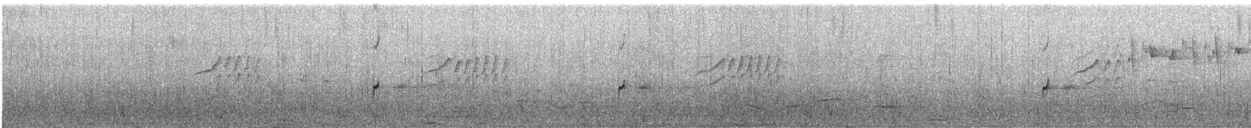 Double-banded Plover - ML646747750