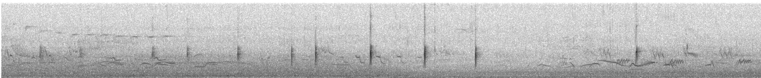 Double-banded Plover - ML646747763