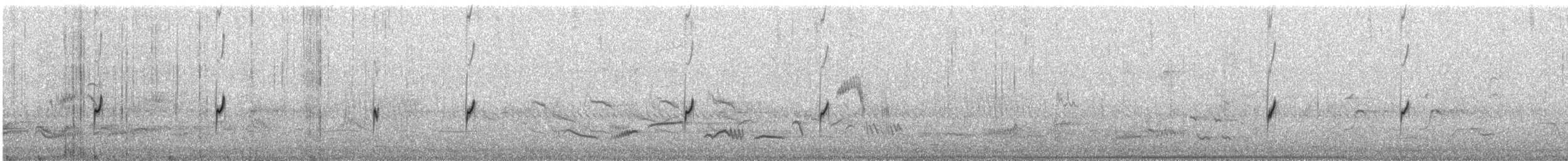 Double-banded Plover - ML646747770