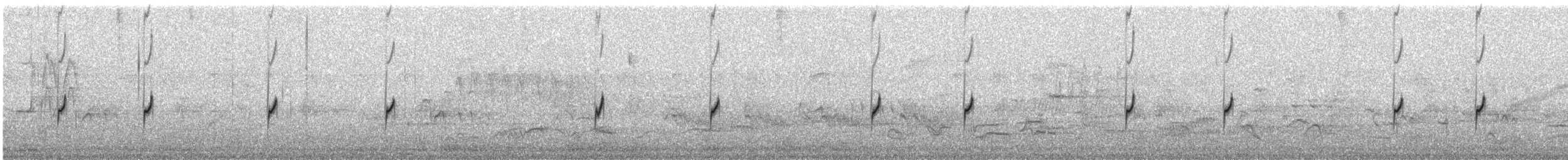 Double-banded Plover - ML646747776