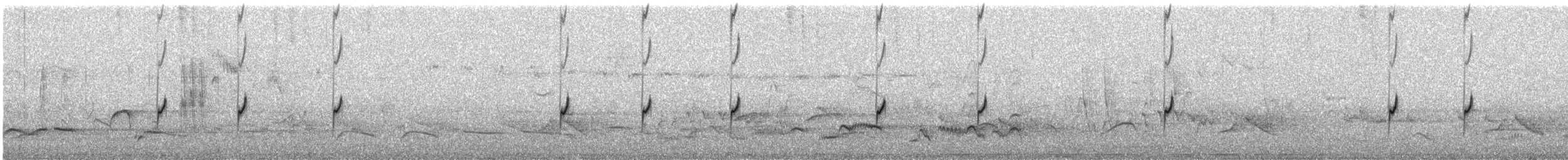 Double-banded Plover - ML646747782