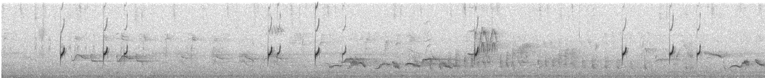 Double-banded Plover - ML646747790