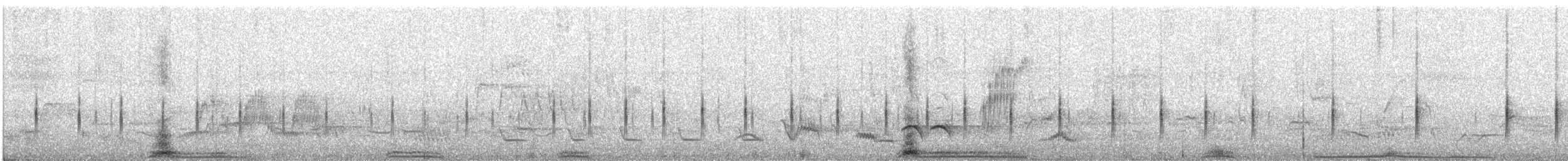 Double-banded Plover - ML646747798