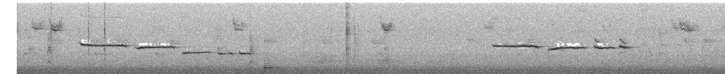 White-throated Sparrow - ML646749066