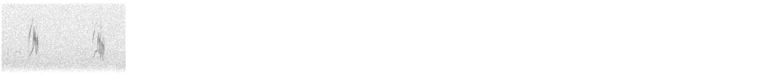 Жёлтая трясогузка - ML646749100