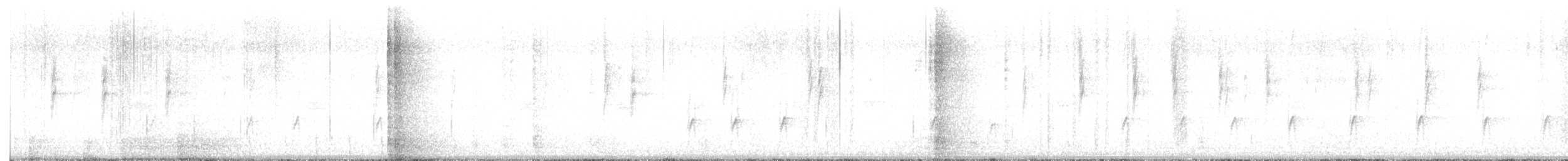 Greater Pewee - ML646749626