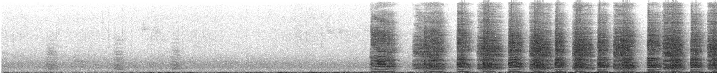 niland - ML646749752