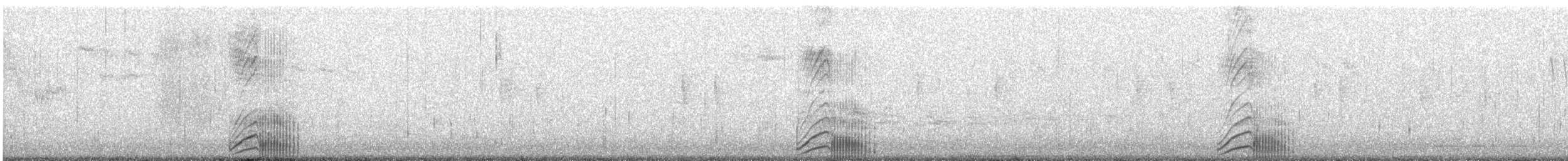 Cygne tuberculé - ML646750222