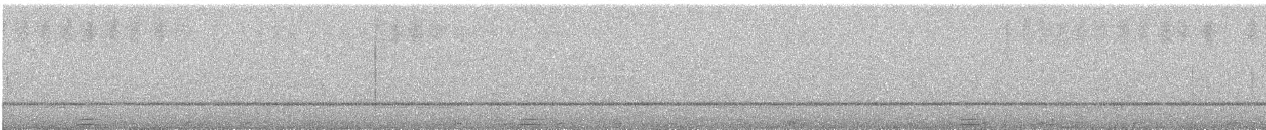 Petit-duc nain - ML646750732