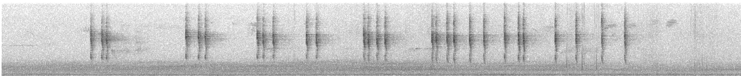 Troglodyte mignon (groupe troglodytes) - ML646750739