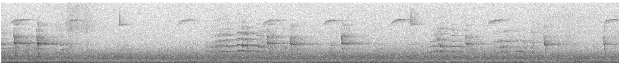 Faucon pèlerin (groupe peregrinus) - ML646750822