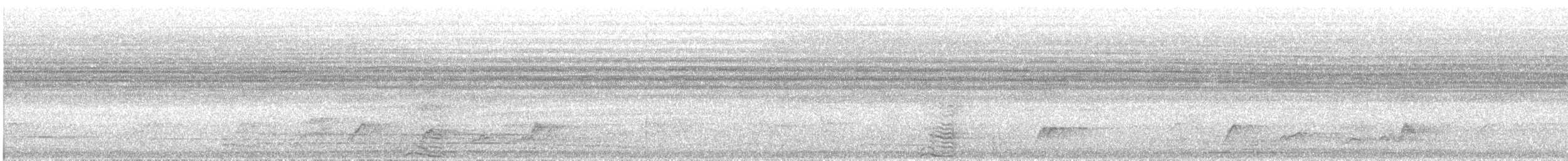 Silvery-cheeked Hornbill - ML646751442