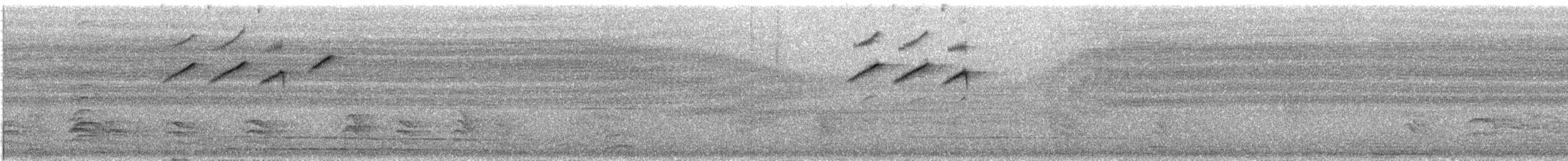 Southern Cordonbleu - ML646752308