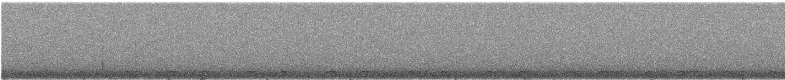 Northern Pygmy-Owl - ML646752357