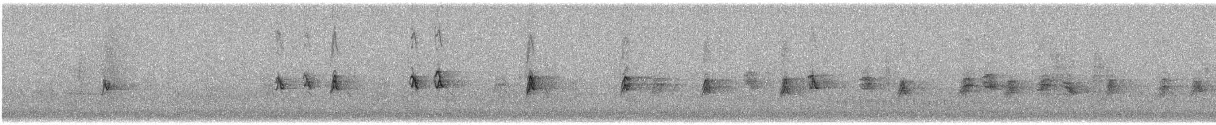 Чечевиця садова - ML646752953