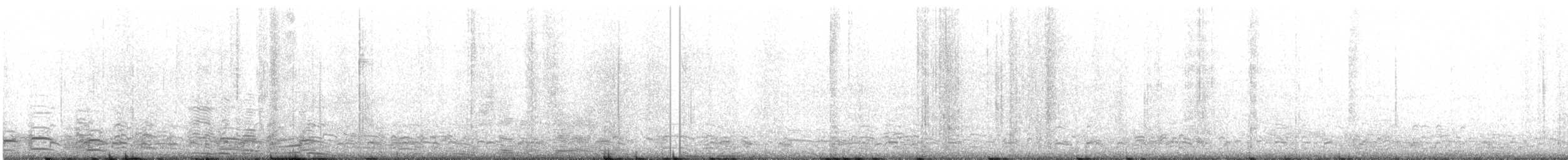 אווז לבן-מצח - ML646752968