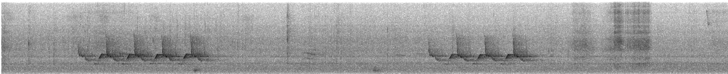 Поплітник каролінський - ML646752992