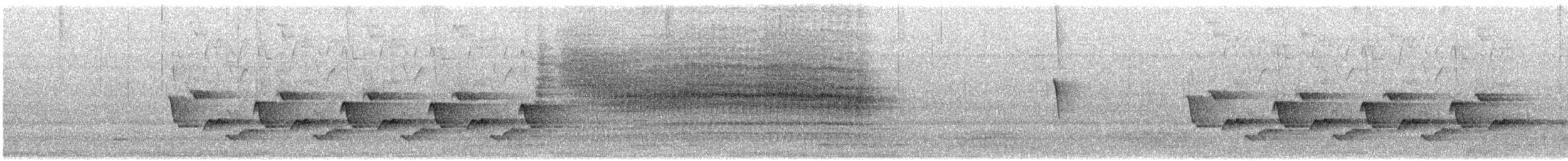 Поплітник каролінський - ML646752994