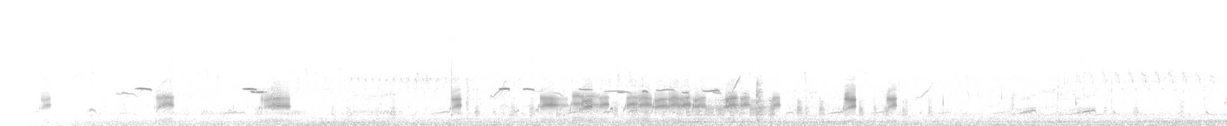 Gadwall - ML646753245