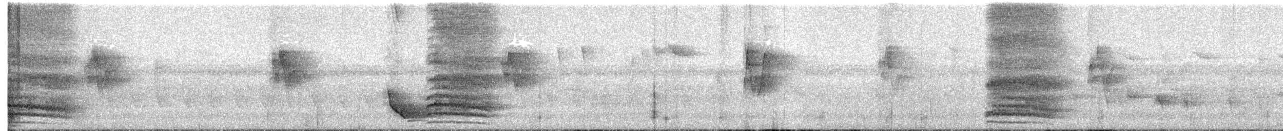 Black-naped Oriole - ML646753628