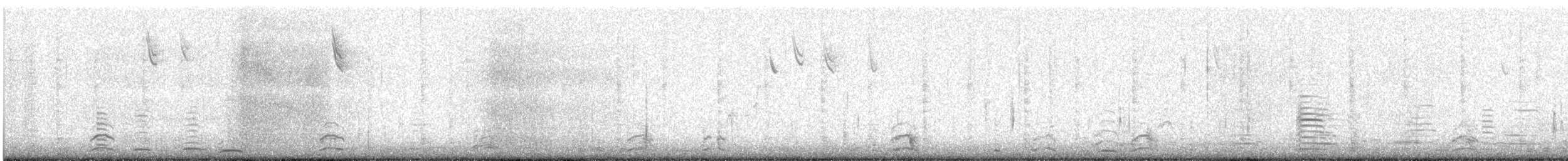 ברבור אמריקני - ML646753664