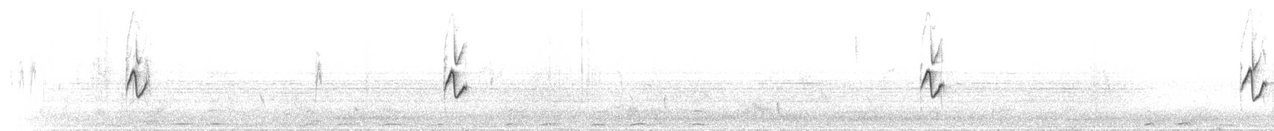 budníček menší - ML646753762