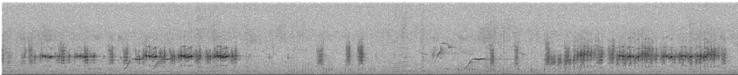 kappbatis - ML646753826