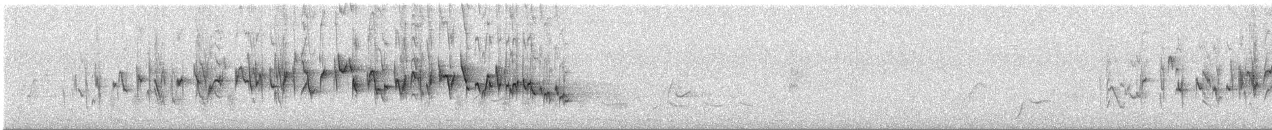 stråsanger - ML646754456