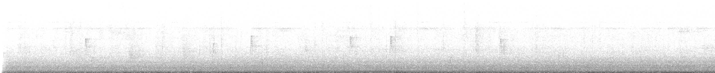 Swainson's Thrush - ML646754608