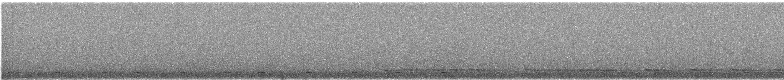 Northern Pygmy-Owl - ML646754786