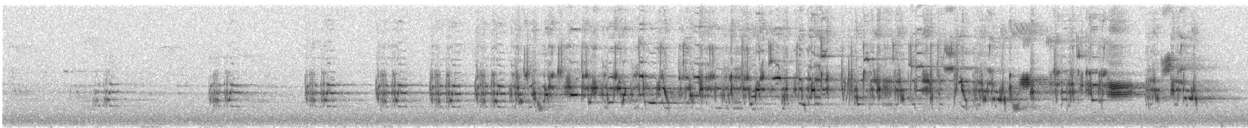 Brown-backed Solitaire - ML646754918