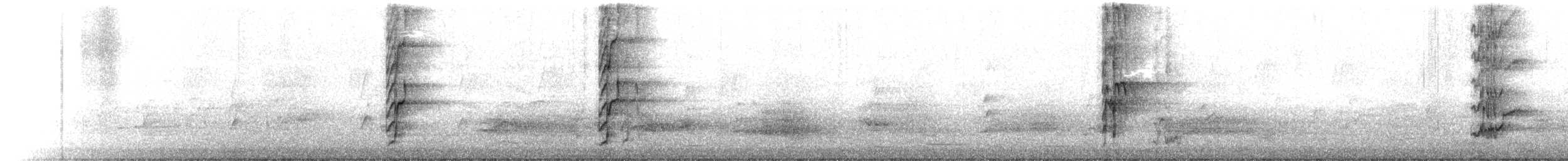 Lori Almizclero - ML646755004