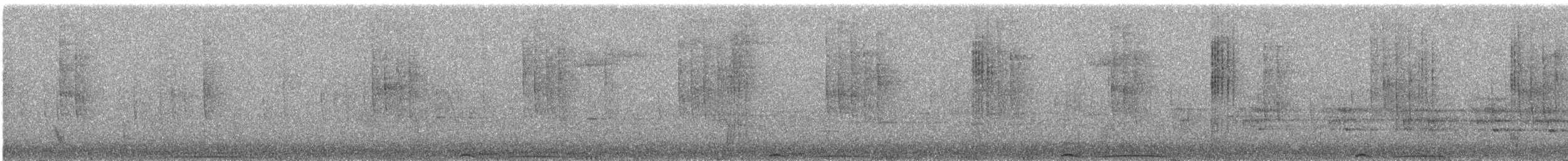 Band-tailed Pigeon - ML646755026