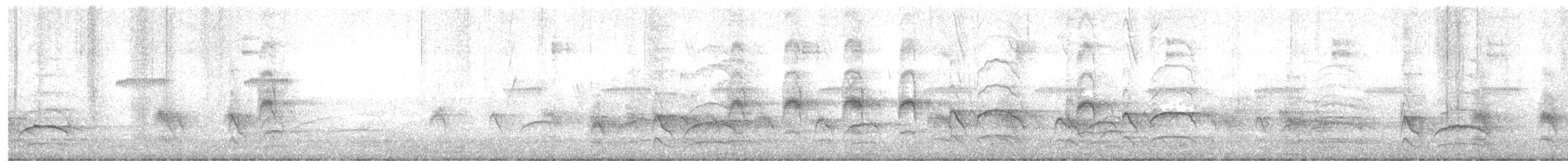 Great Kiskadee - ML646755325