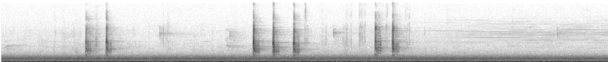 Red-bellied Woodpecker - ML646755359