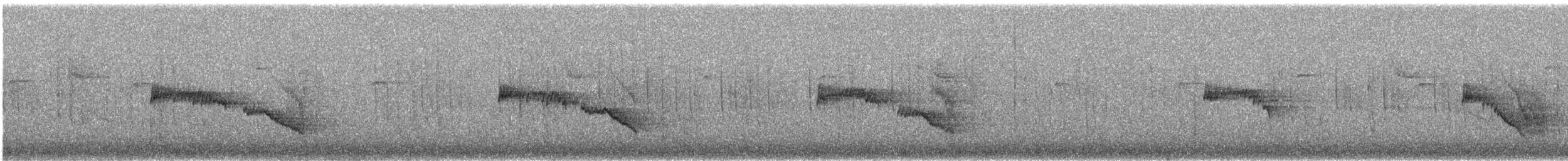 Northern House Wren (Brown-throated) - ML646756111