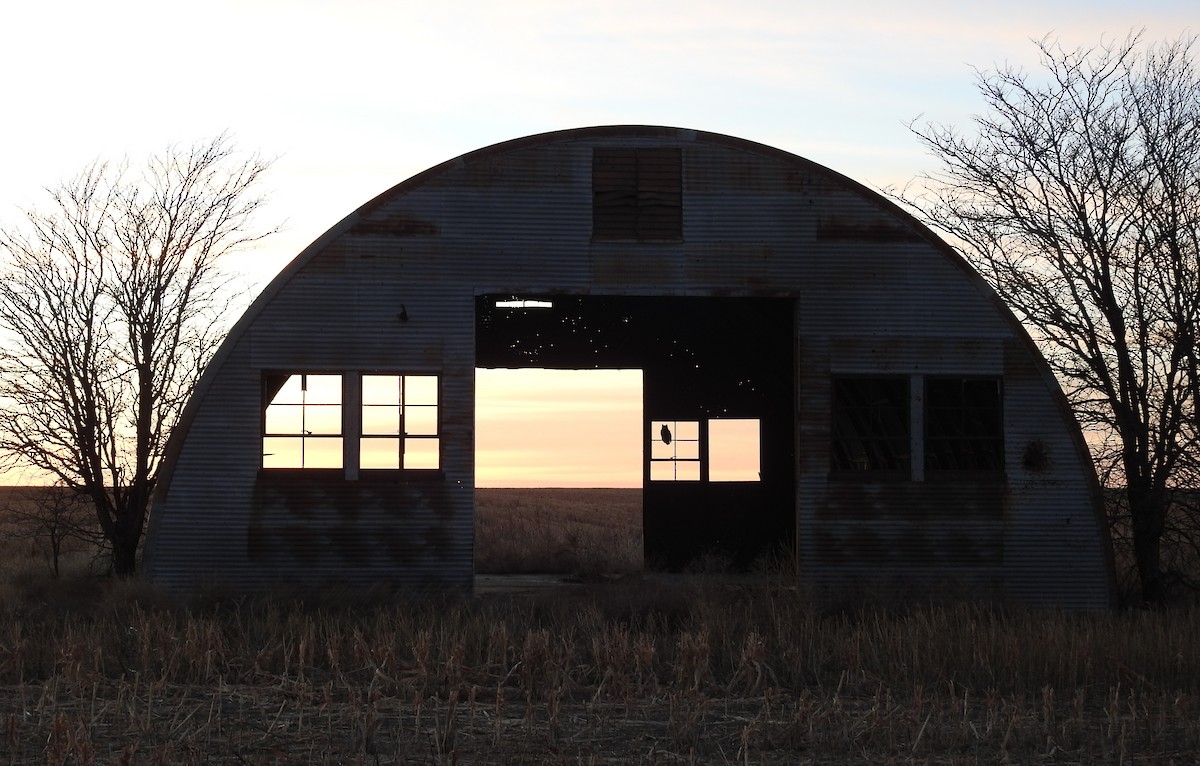 amerikahubro - ML646756218